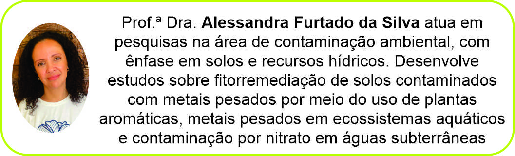 Imagem_Alessandra Furtado da Silva