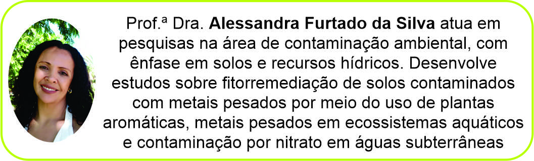 Imagem_Alessandra Furtado da Silva